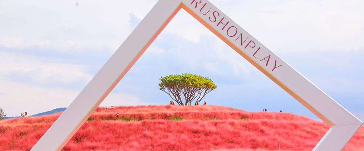 축제-일정-가을-대한민국-구석구석-러쉬온플레이